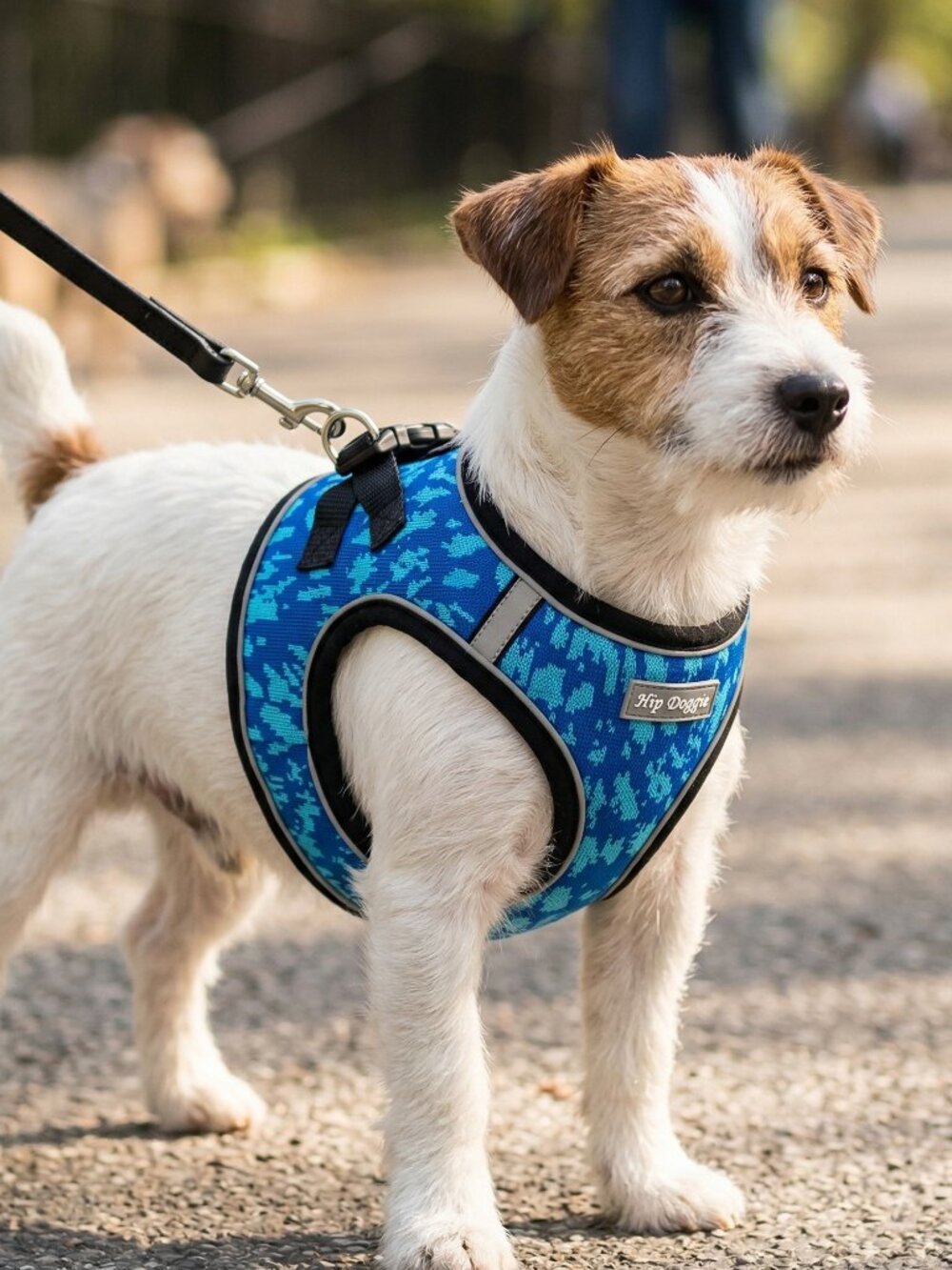 EZ Reflective Harness Vest - Blue